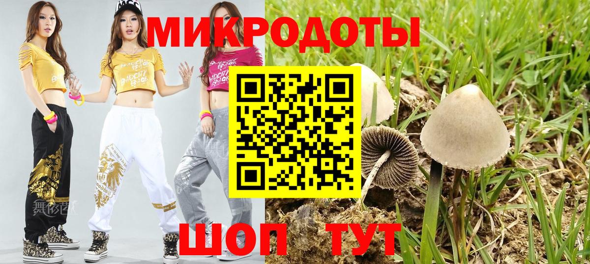 Галлюциногенные грибы Psilocybine cubensis Узловая