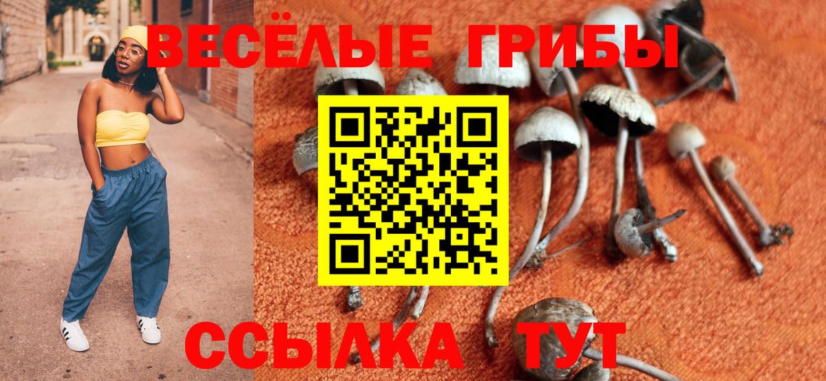 купить  сайты  Вход с VPN  Галлюциногенные грибы ЛСД  Узловая  Псилоцибиновые грибы Psilocybe 